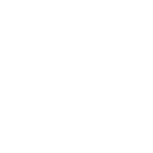 Connect Icon