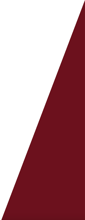 icon for bottom divider